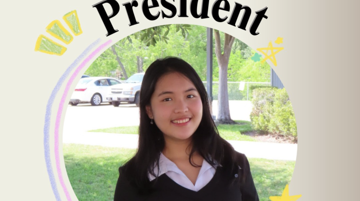 President – Mayflower Foundation