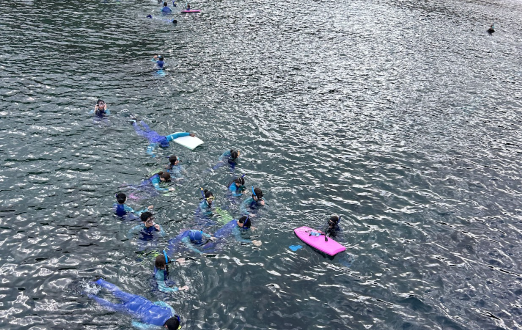 A Special Day Snorkeling at Catalina Island 🌊🐠